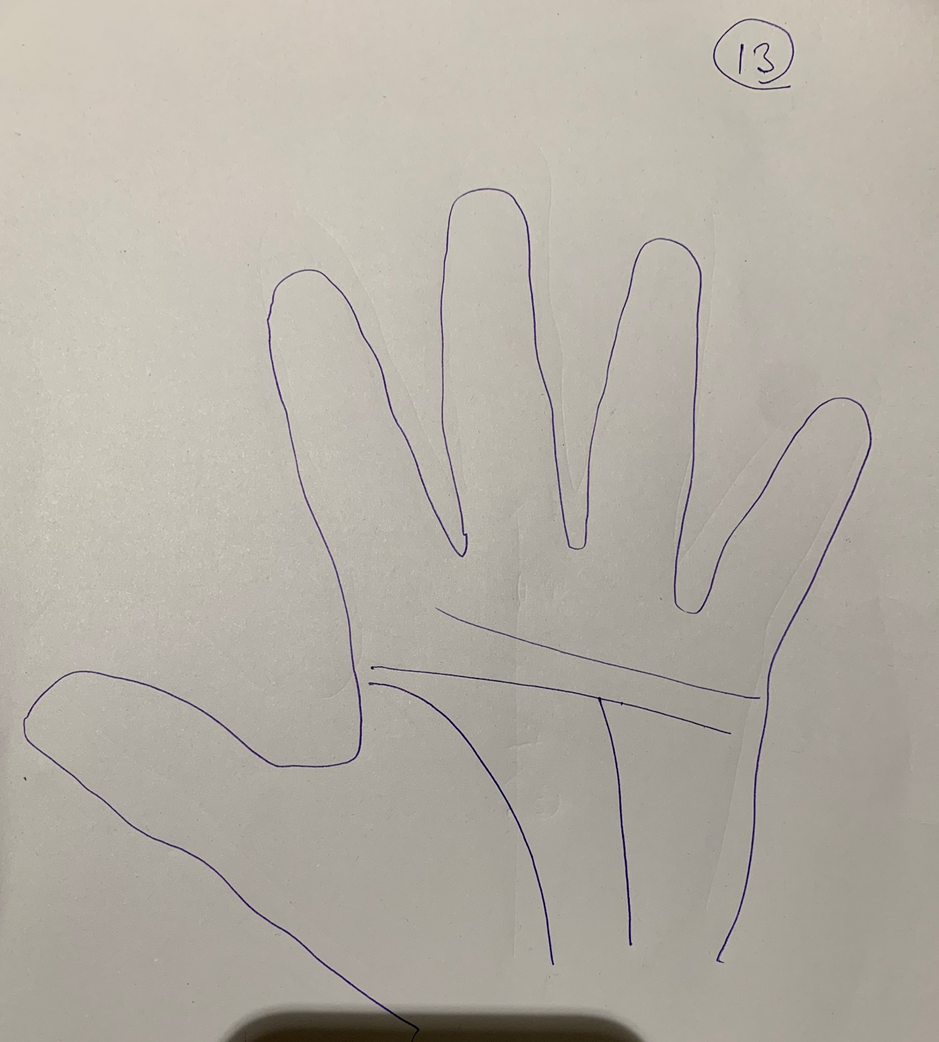 Hand-drawn palm outline where the vertical line rises from the wrist and stops at the horizontal head crease