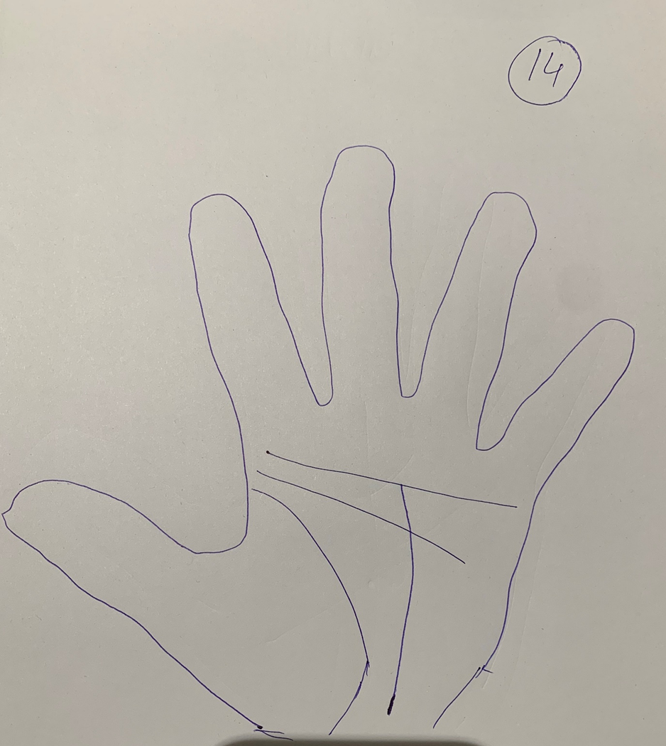 Hand-drawn palm outline where the vertical line rises from the wrist and stops at the upper horizontal crease