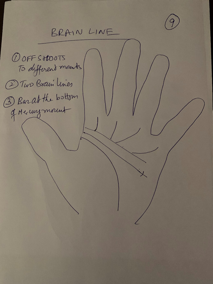 Hand-drawn palm headed "Brain line" listing three features — offshoots to different mounts, two brain lines, and a bar at the bottom of the Mercury mount — each drawn on the palm