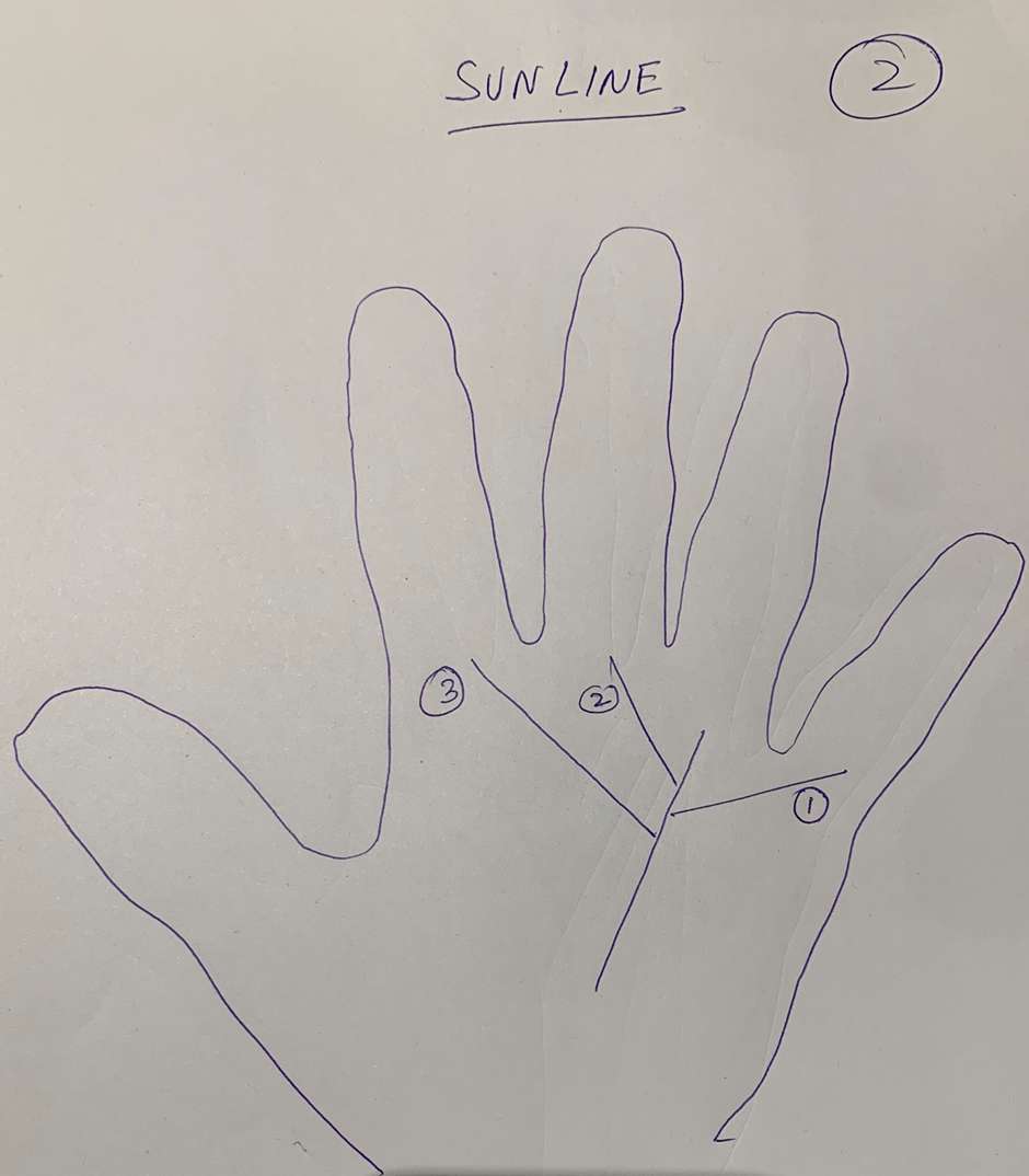 Hand-drawn palm headed "Sun line" with three numbered branches leaving the line below the ring finger, one to each side and one continuing up